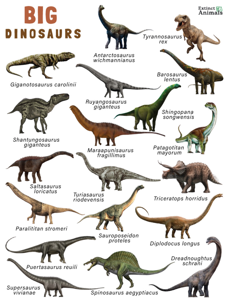 image-2-771x1024 How Dinosaurs ruled the earth ?