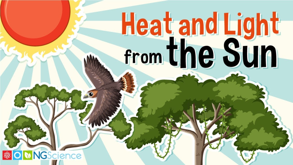 image-4-1024x576 How we can differentiate heat from light ?