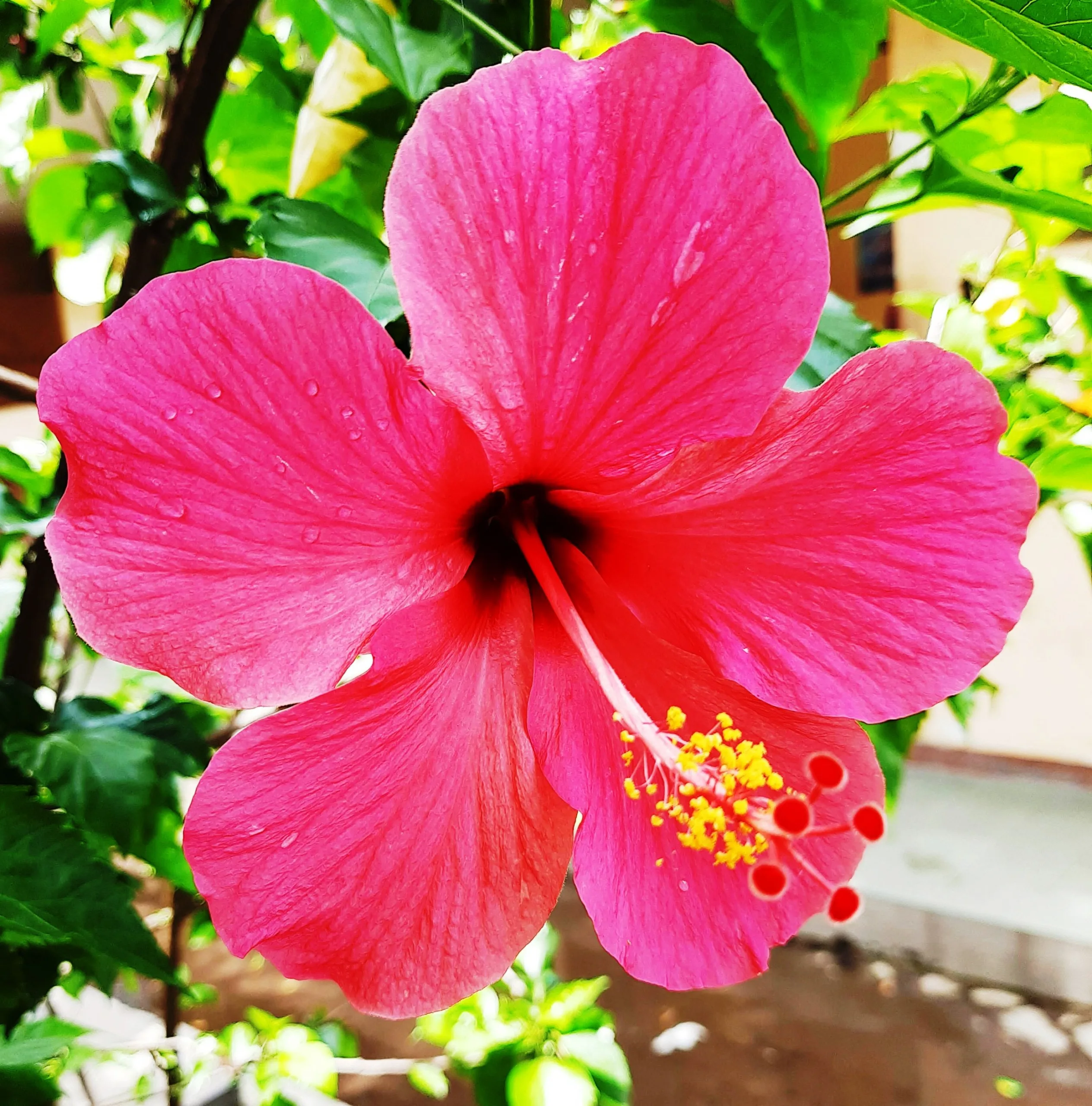 photo-1686454116831-05e1bbe04ee7